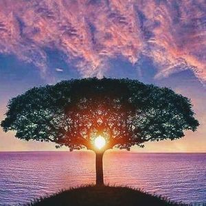 Meet your Posher, Kamaile